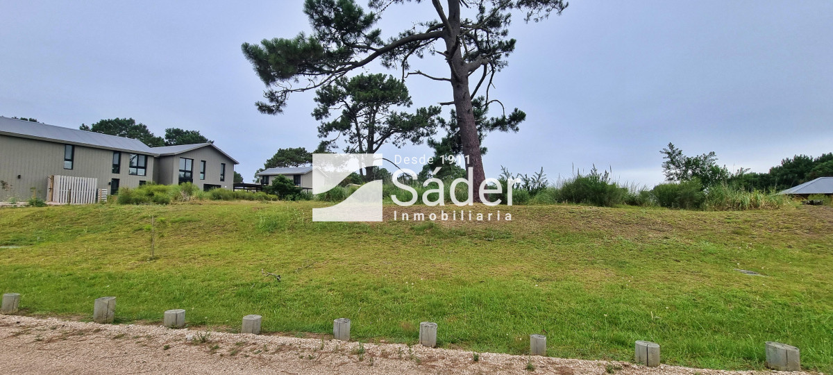 Pinar del Faro - GoPunta - Portal Inmobiliario de Punta del Este - Maldonado