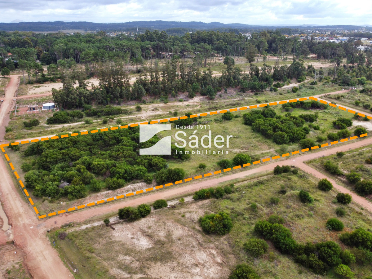 Pinares - GoPunta - Portal Inmobiliario de Punta del Este - Maldonado
