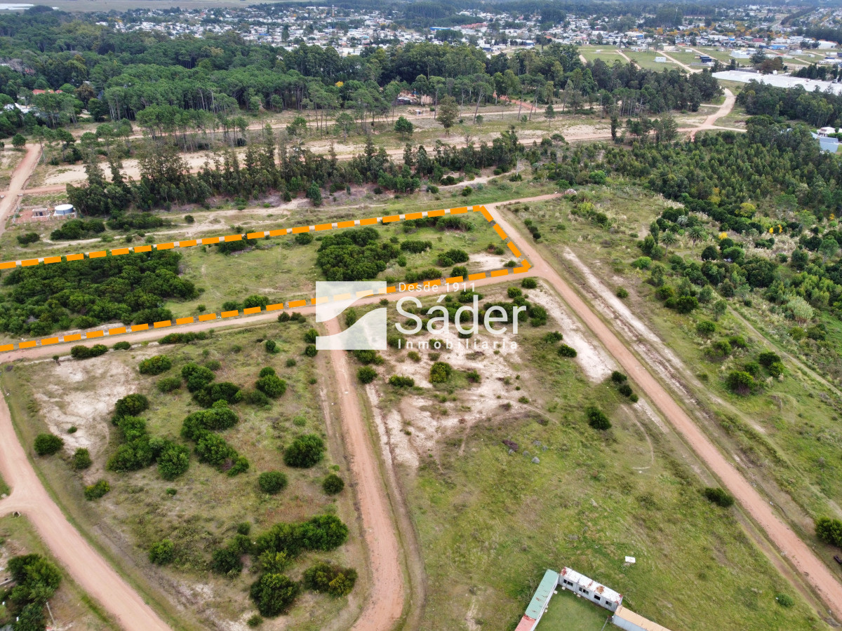 Pinares - GoPunta - Portal Inmobiliario de Punta del Este - Maldonado