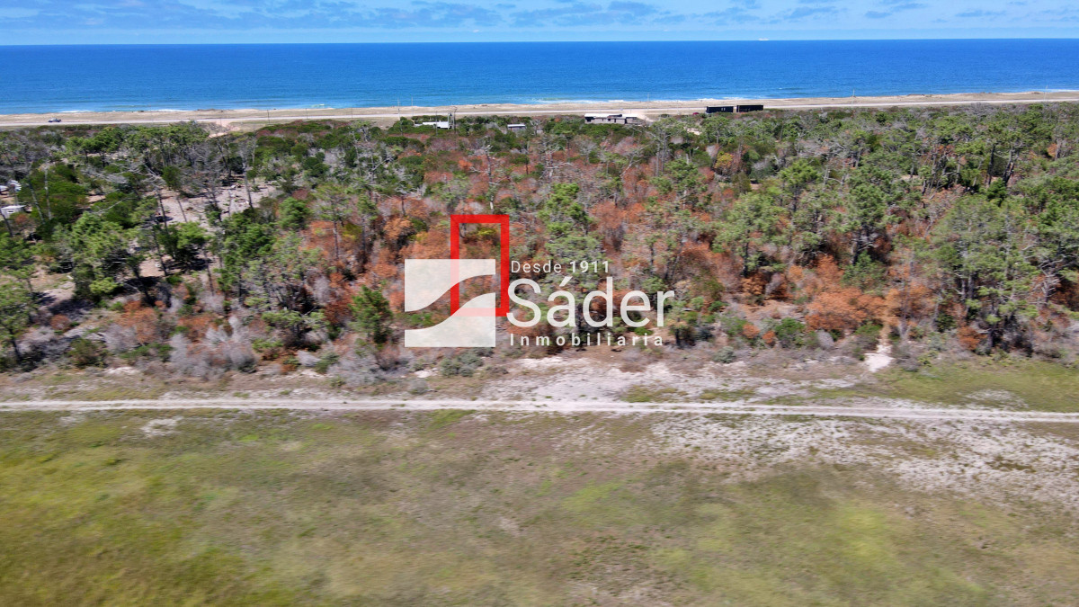 El Caracol - GoPunta - Portal Inmobiliario de Punta del Este - Maldonado