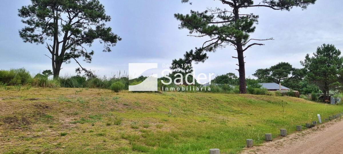 Pinar del Faro - GoPunta - Portal Inmobiliario de Punta del Este - Maldonado
