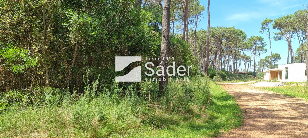 La Reserva - GoPunta - Portal Inmobiliario de Punta del Este - Maldonado