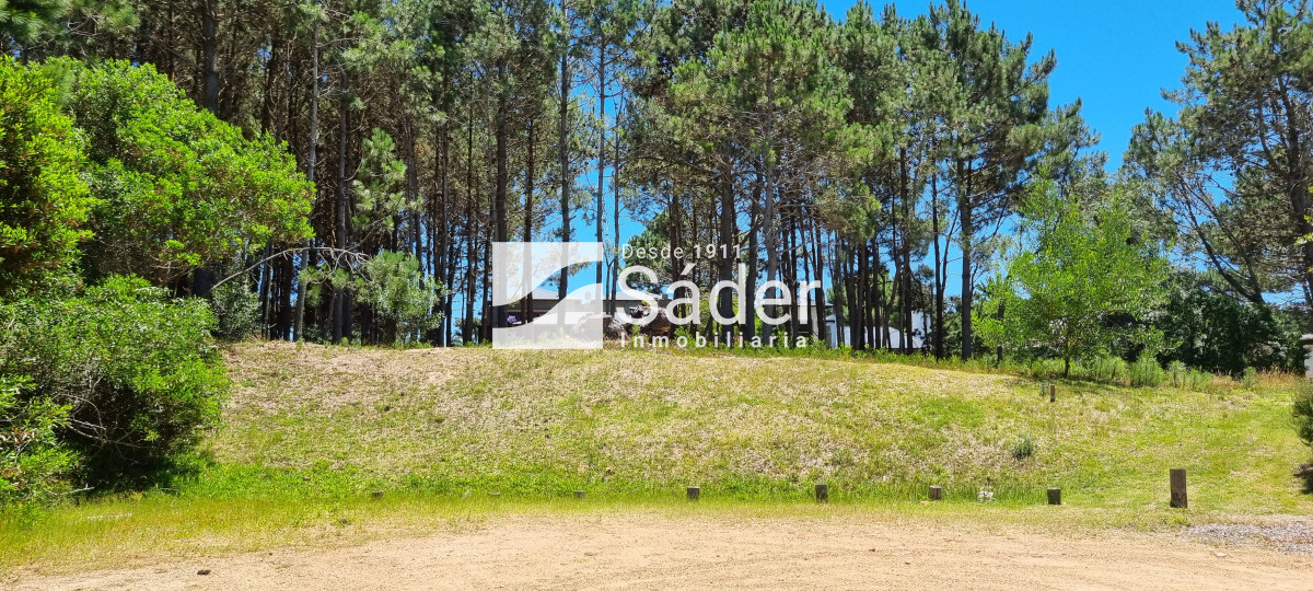 Pinar del Faro - GoPunta - Portal Inmobiliario de Punta del Este - Maldonado
