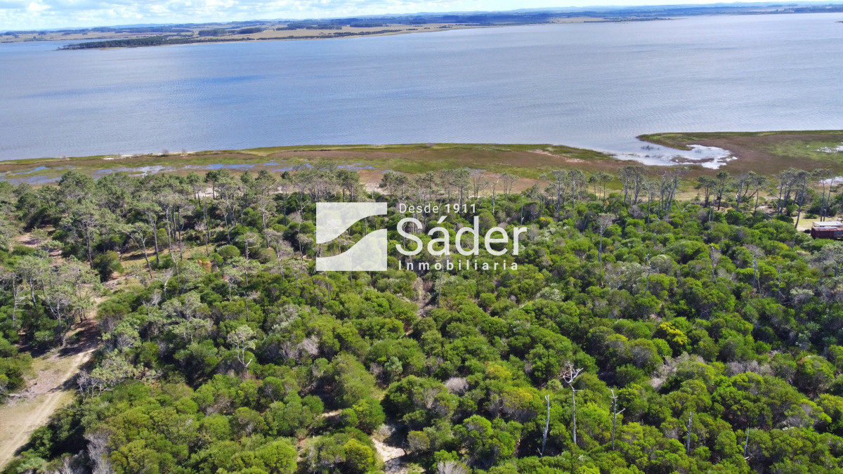El Caracol - GoPunta - Portal Inmobiliario de Punta del Este - Maldonado