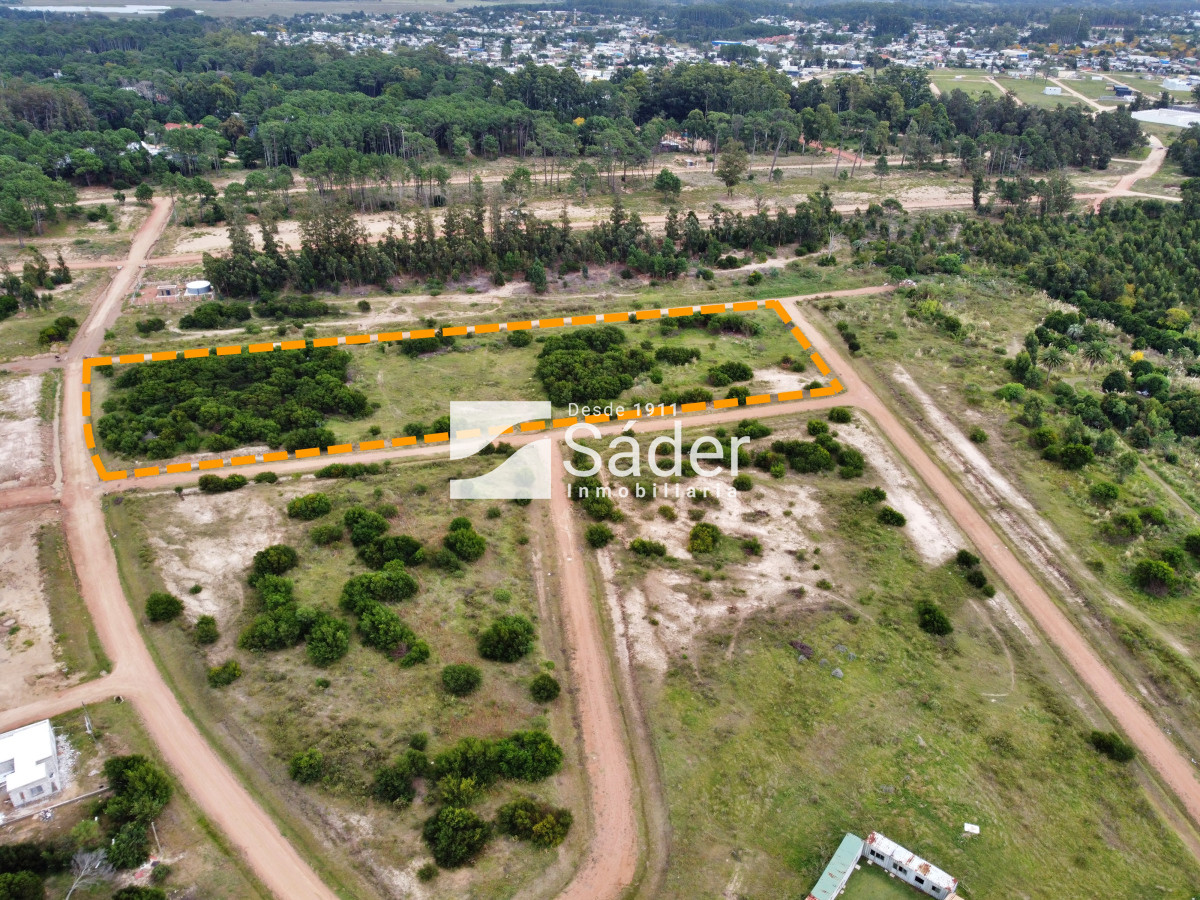 Pinares - GoPunta - Portal Inmobiliario de Punta del Este - Maldonado
