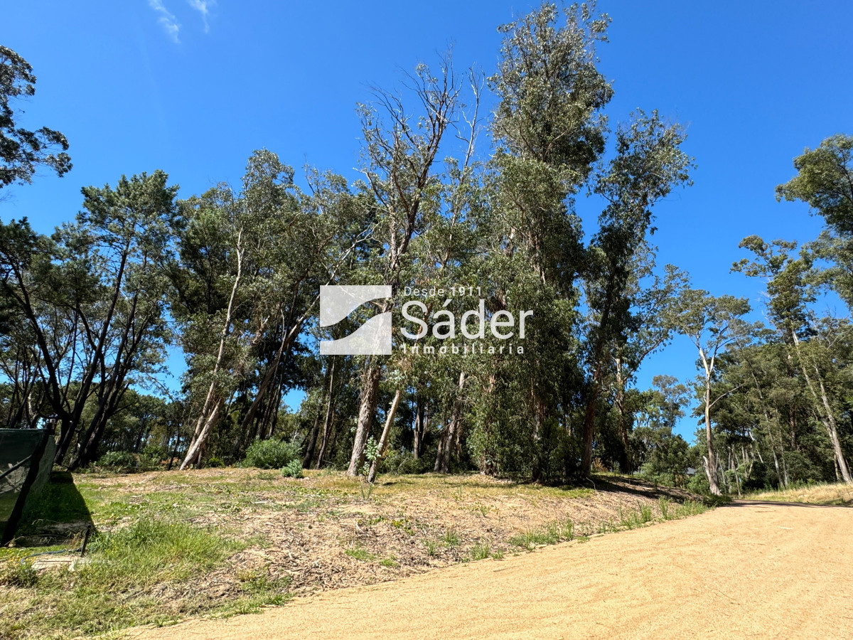 La Reserva - GoPunta - Portal Inmobiliario de Punta del Este - Maldonado