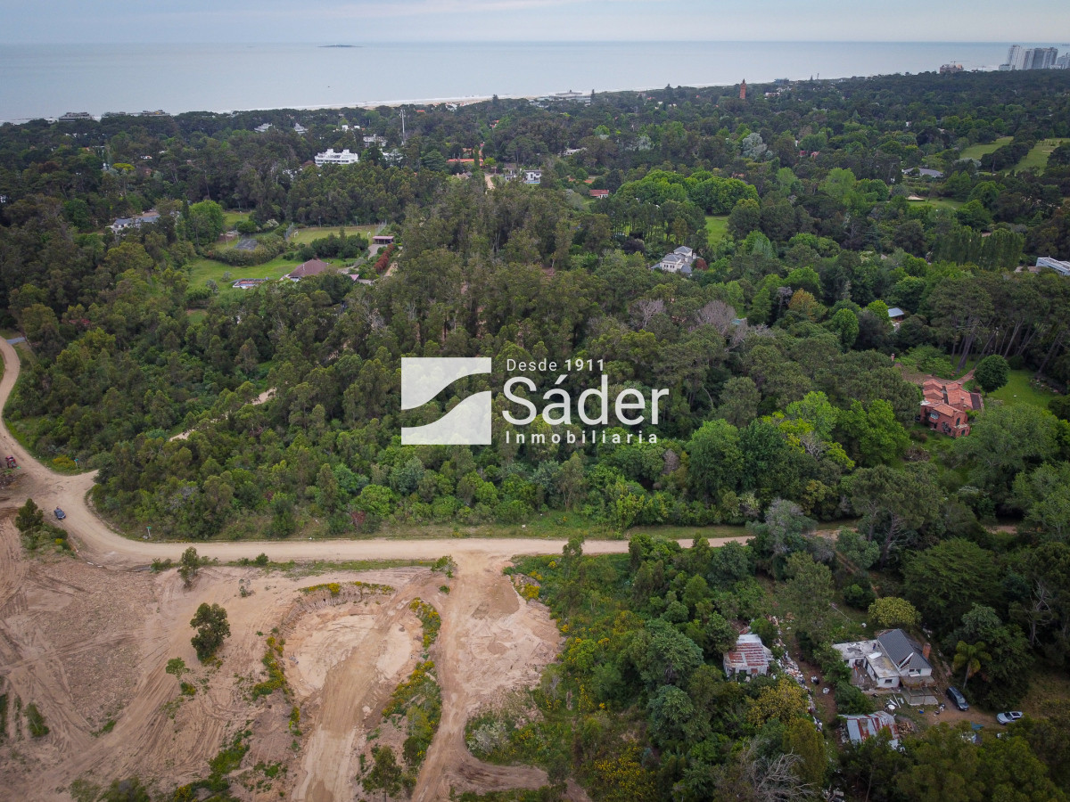 Golf - GoPunta - Portal Inmobiliario de Punta del Este - Maldonado