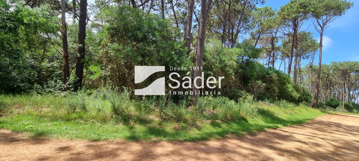 La Reserva - GoPunta - Portal Inmobiliario de Punta del Este - Maldonado