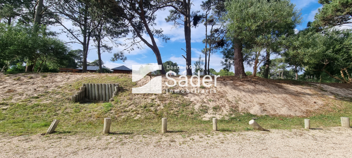 Pinar del Faro - GoPunta - Portal Inmobiliario de Punta del Este - Maldonado