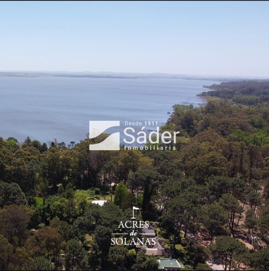 Laguna del Sauce - GoPunta - Portal Inmobiliario de Punta del Este - Maldonado