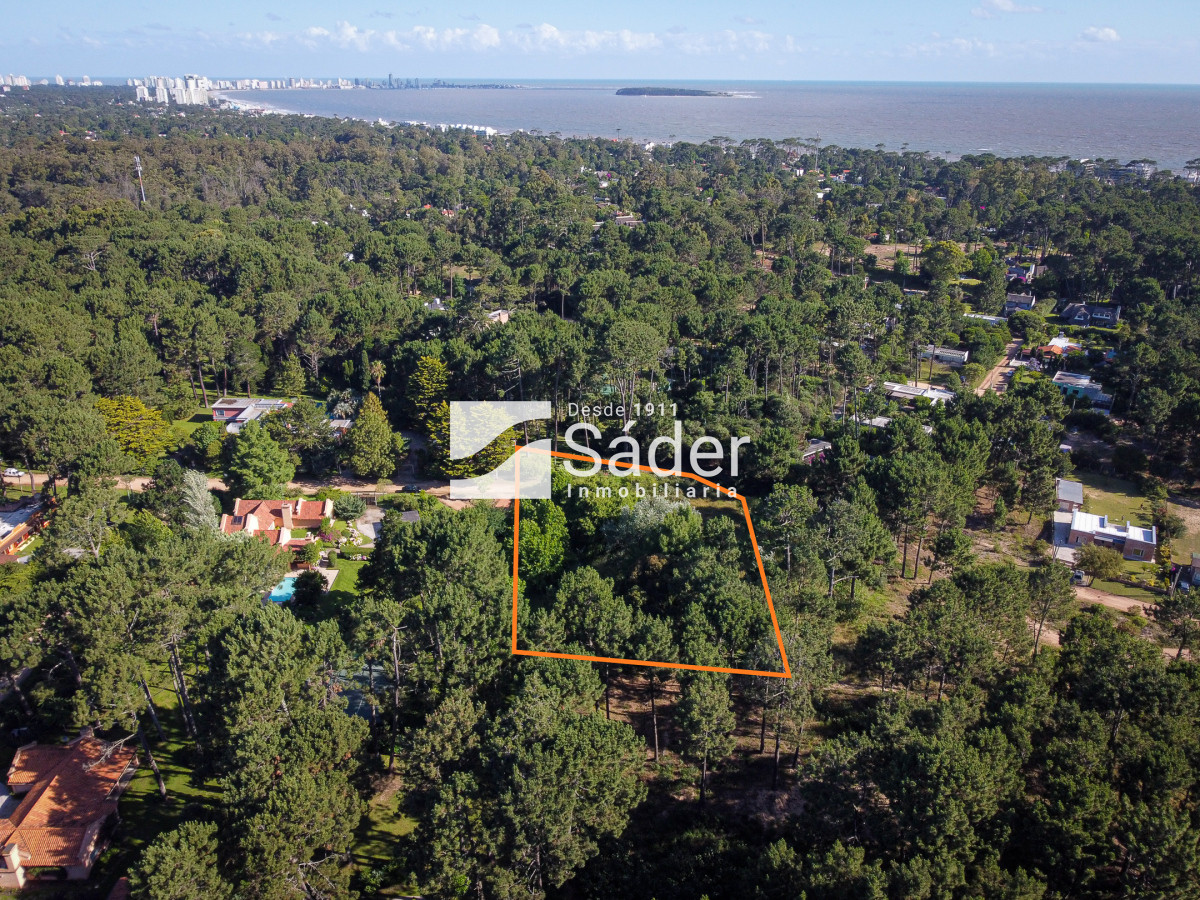 Pinares - GoPunta - Portal Inmobiliario de Punta del Este - Maldonado