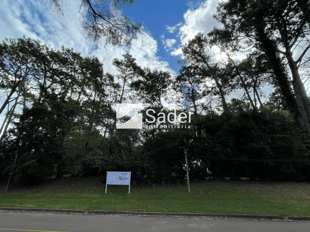 San Rafael - GoPunta - Portal Inmobiliario de Punta del Este - Maldonado