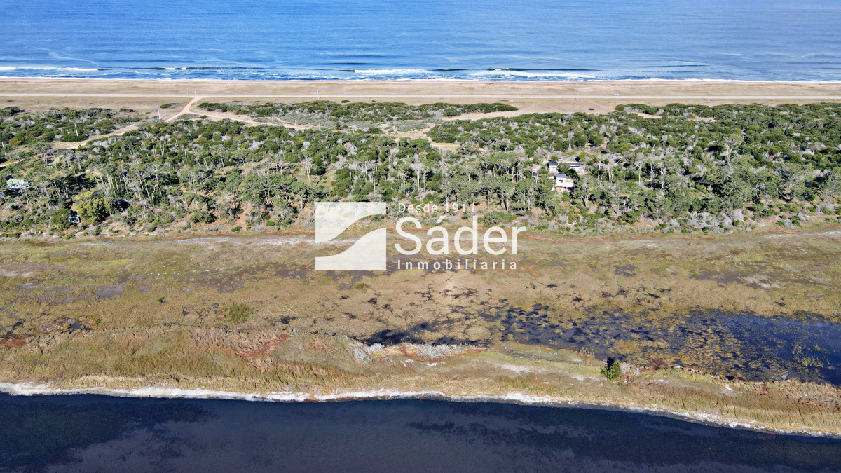 El Caracol - GoPunta - Portal Inmobiliario de Punta del Este - Maldonado
