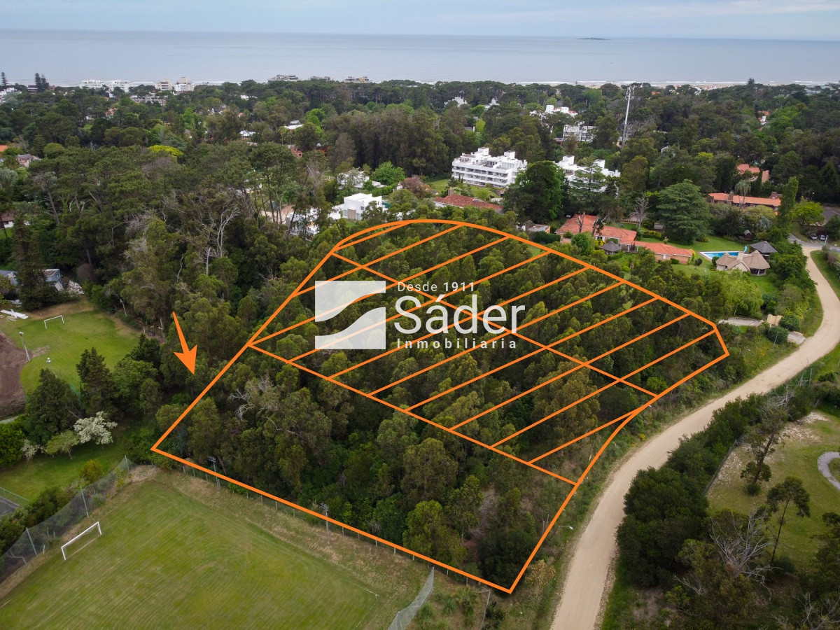 Golf - GoPunta - Portal Inmobiliario de Punta del Este - Maldonado