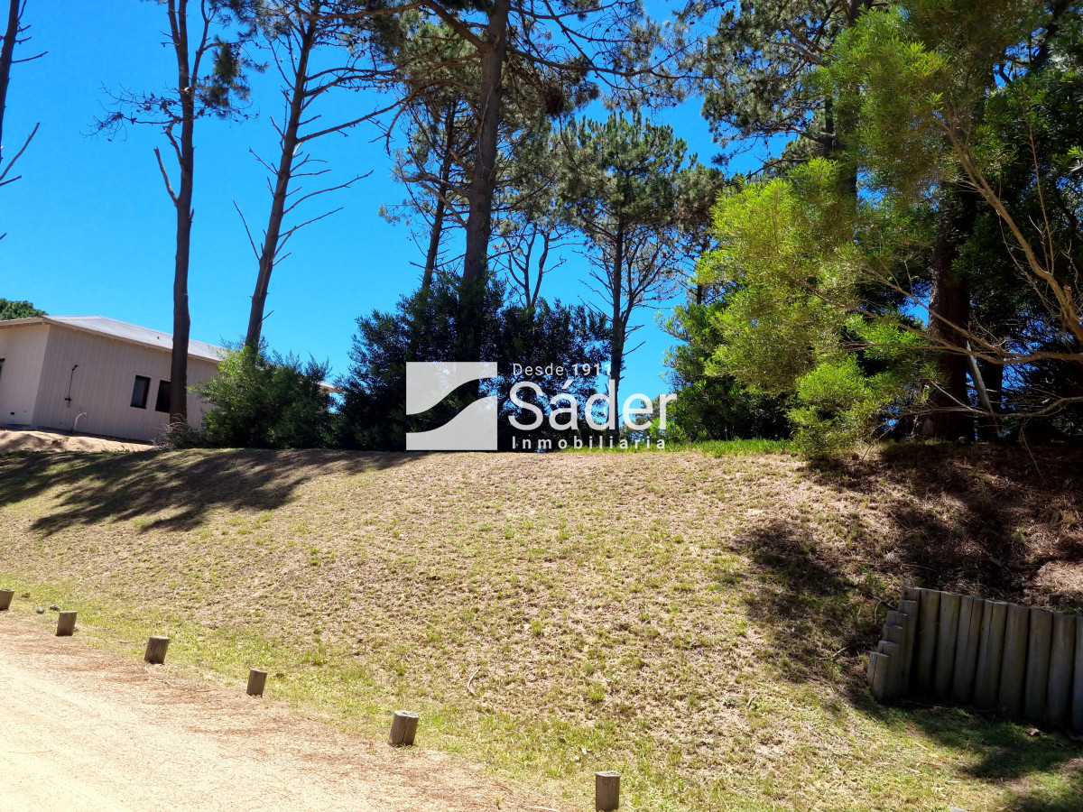 Pinar del Faro - GoPunta - Portal Inmobiliario de Punta del Este - Maldonado