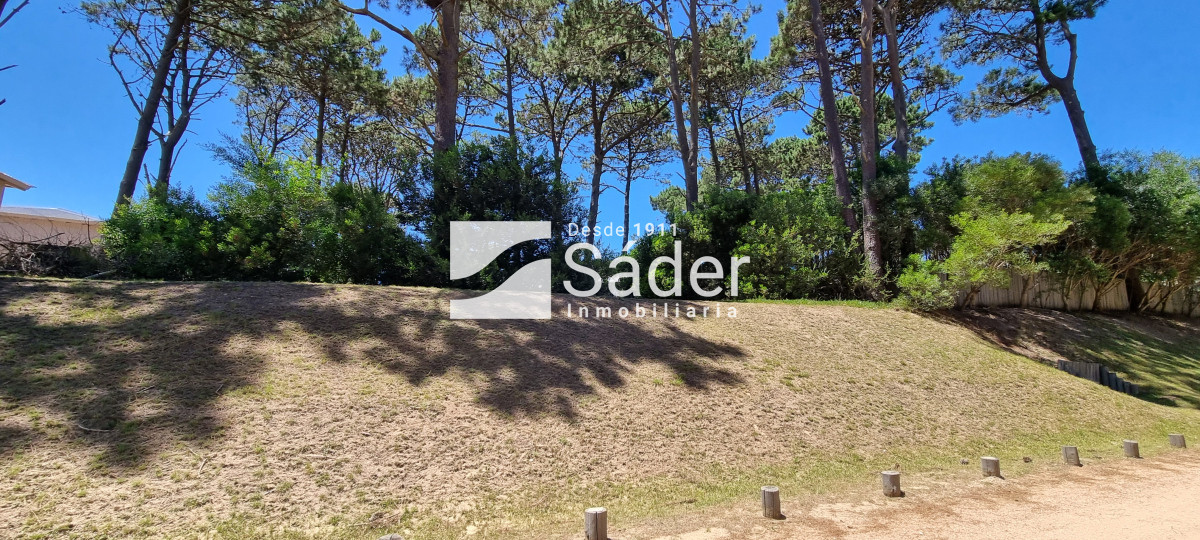 Pinar del Faro - GoPunta - Portal Inmobiliario de Punta del Este - Maldonado