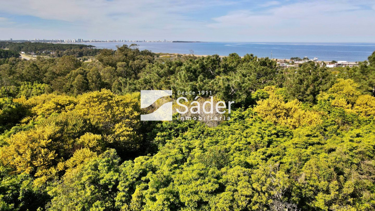 Las Grutas - GoPunta - Portal Inmobiliario de Punta del Este - Maldonado