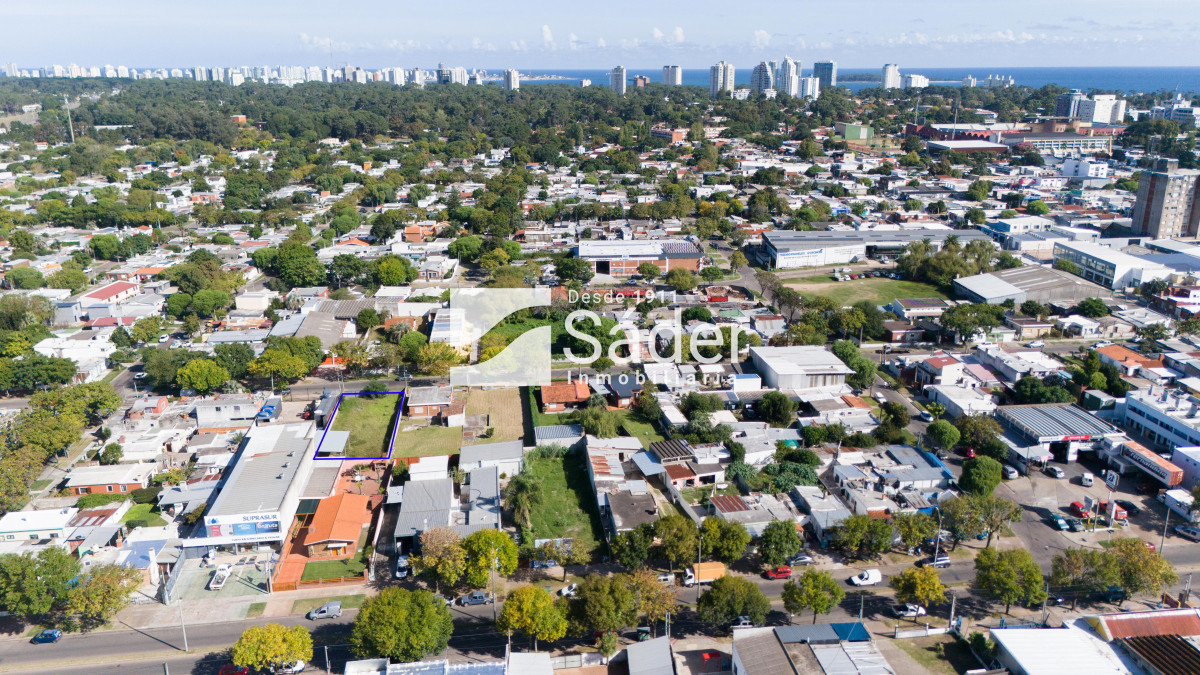 Sarubbi - GoPunta - Portal Inmobiliario de Punta del Este - Maldonado