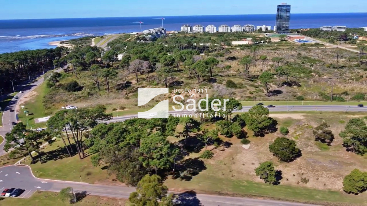 La Barra - GoPunta - Portal Inmobiliario de Punta del Este - Maldonado