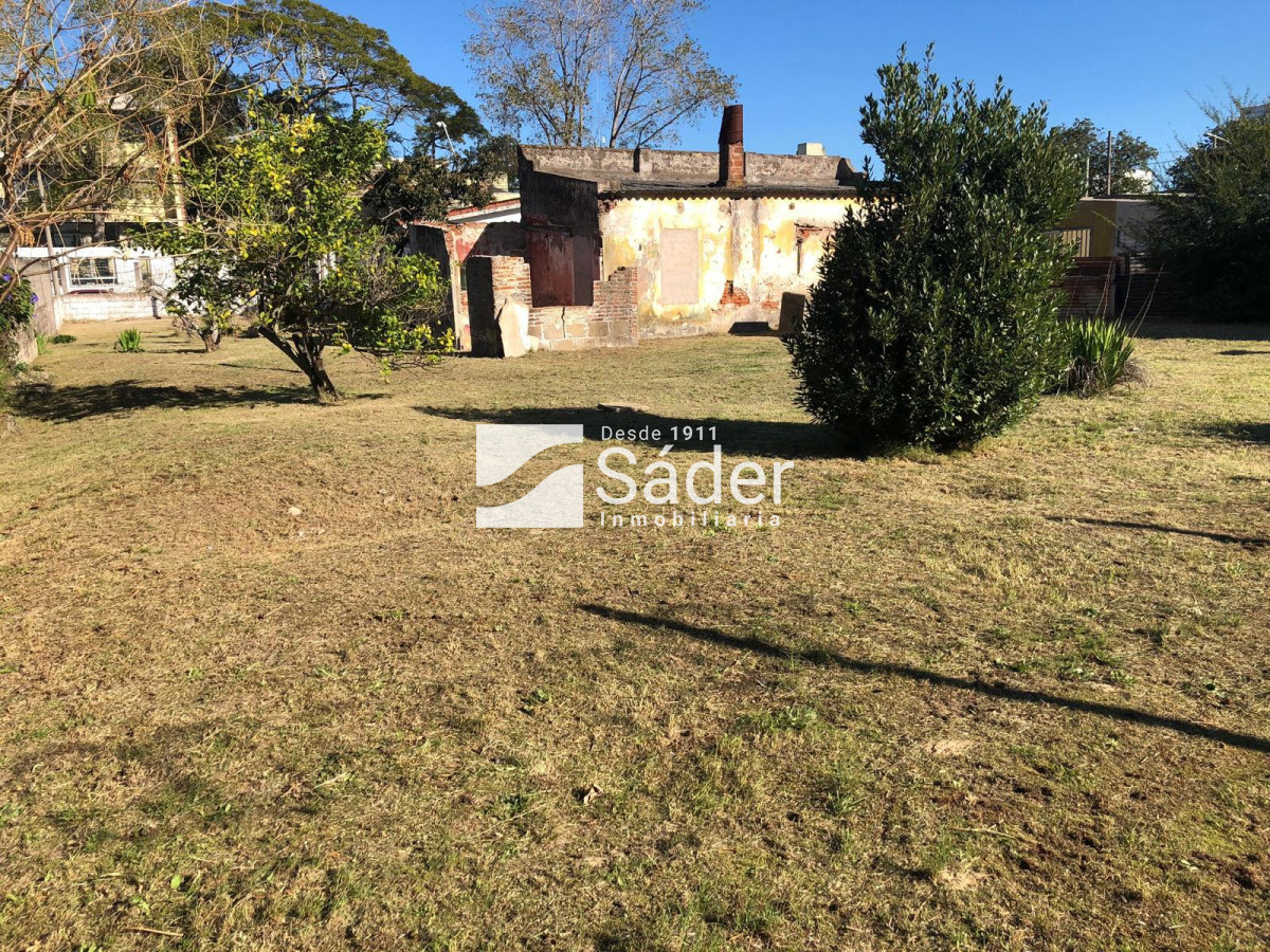 Centro Maldonado - GoPunta - Portal Inmobiliario de Punta del Este - Maldonado
