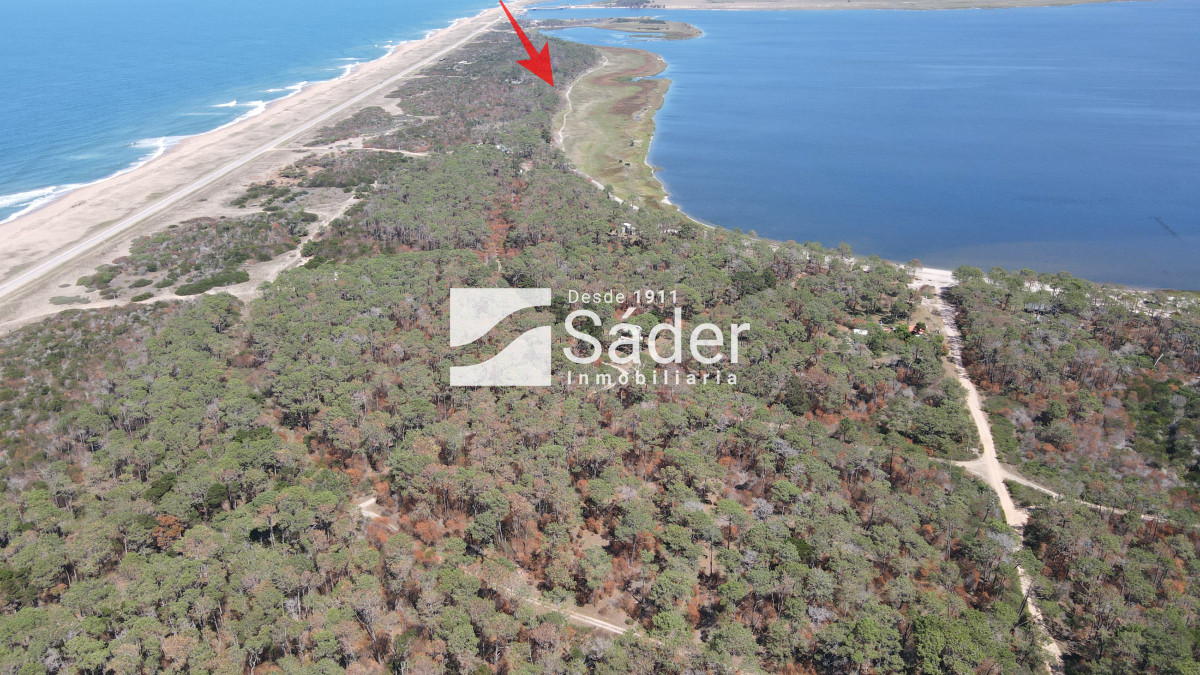 El Caracol - GoPunta - Portal Inmobiliario de Punta del Este - Maldonado