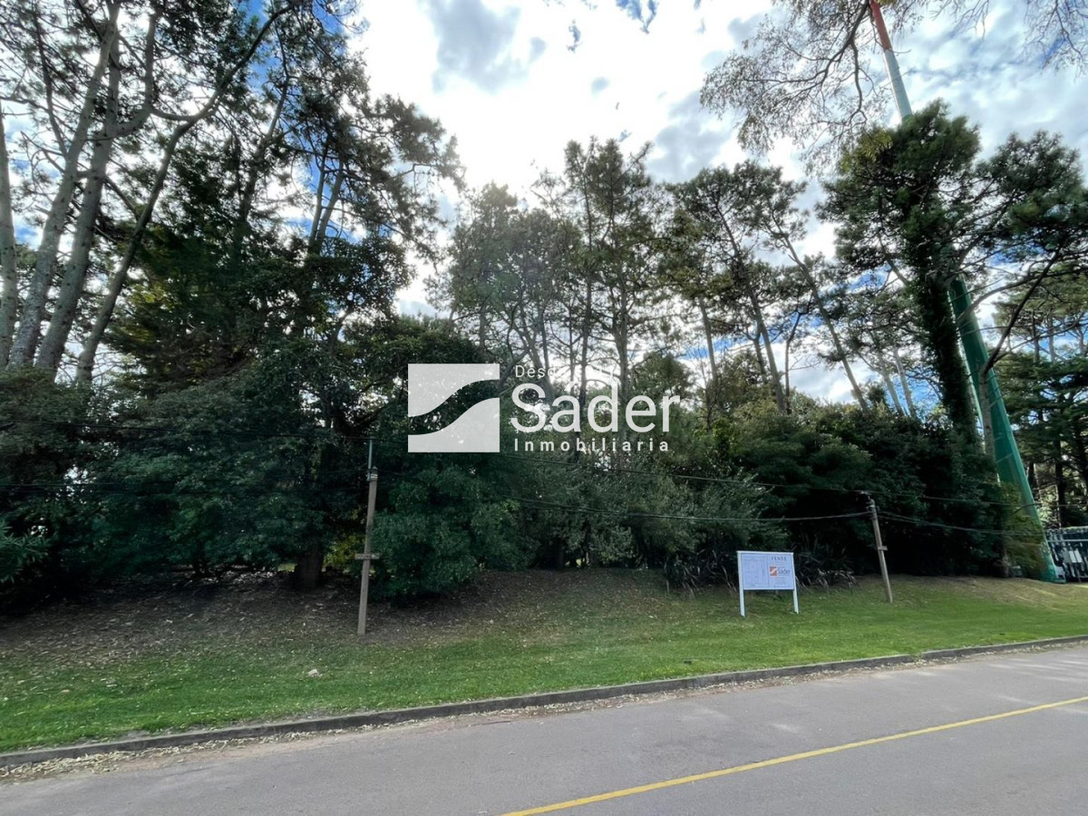 San Rafael - GoPunta - Portal Inmobiliario de Punta del Este - Maldonado