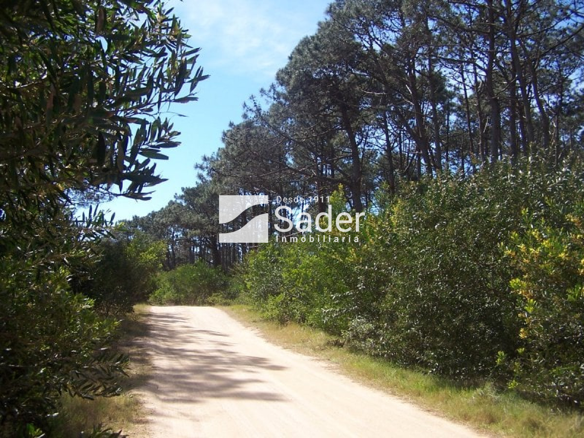 El Caracol - GoPunta - Portal Inmobiliario de Punta del Este - Maldonado