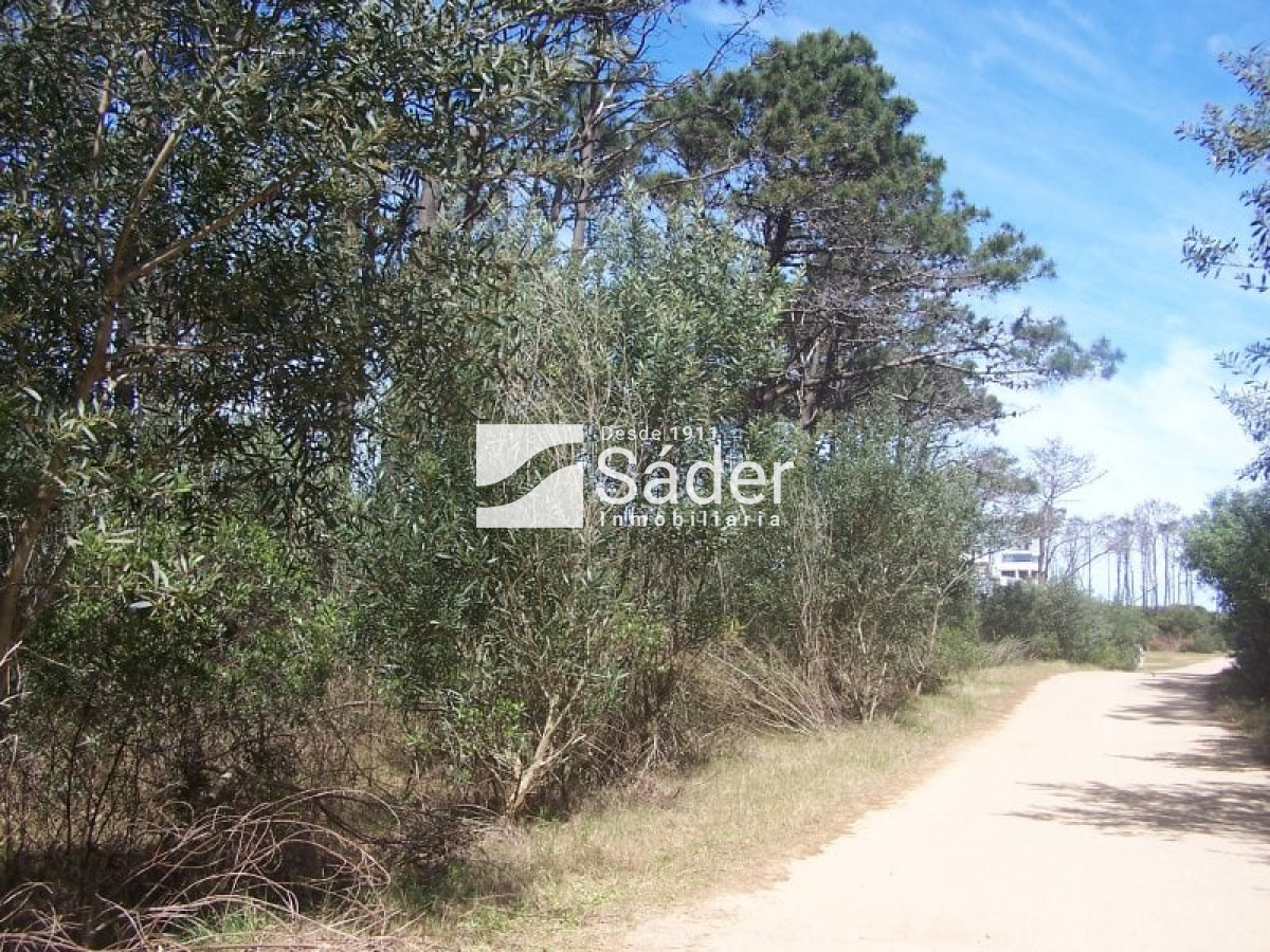 El Caracol - GoPunta - Portal Inmobiliario de Punta del Este - Maldonado
