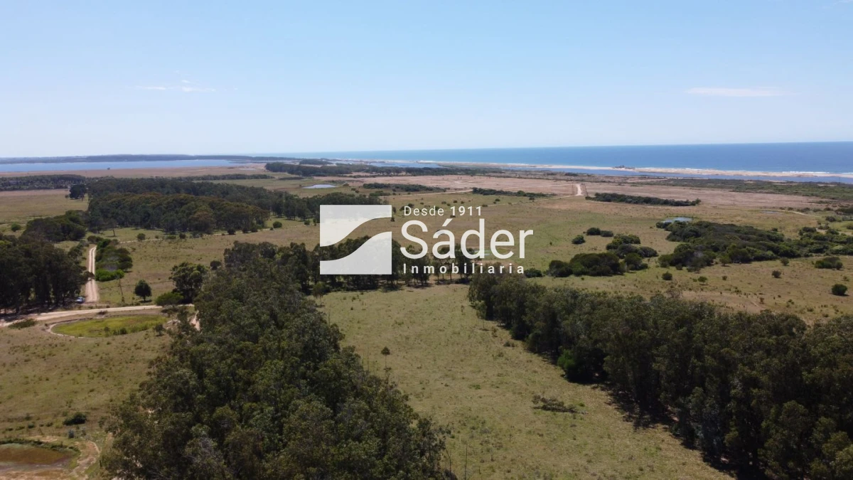 Terreno ID.2689 - Terreno en venta Jose Ignacio 