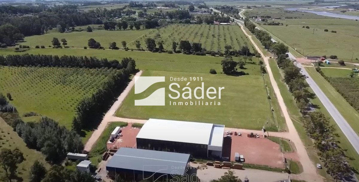 San Carlos - GoPunta - Portal Inmobiliario de Punta del Este - Maldonado
