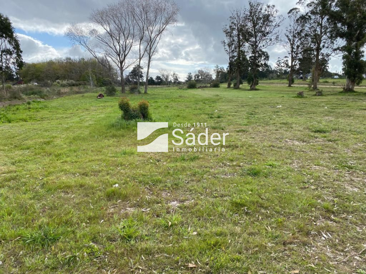 San Carlos - GoPunta - Portal Inmobiliario de Punta del Este - Maldonado