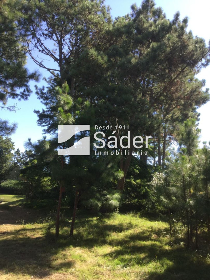 Golf - GoPunta - Portal Inmobiliario de Punta del Este - Maldonado