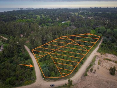VENTA DE TERRENO EN RINCON DEL INDIO