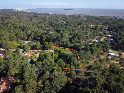 Terreno en venta Pinares 