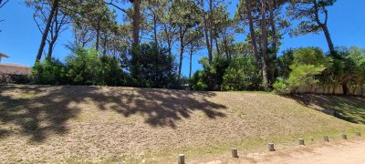 Pinar del Faro 21