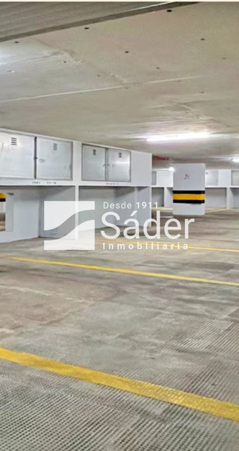 Apartamento ID.4585 - Apto en Alq. en la Península a Pasos del Mar. 1 dormitorio
