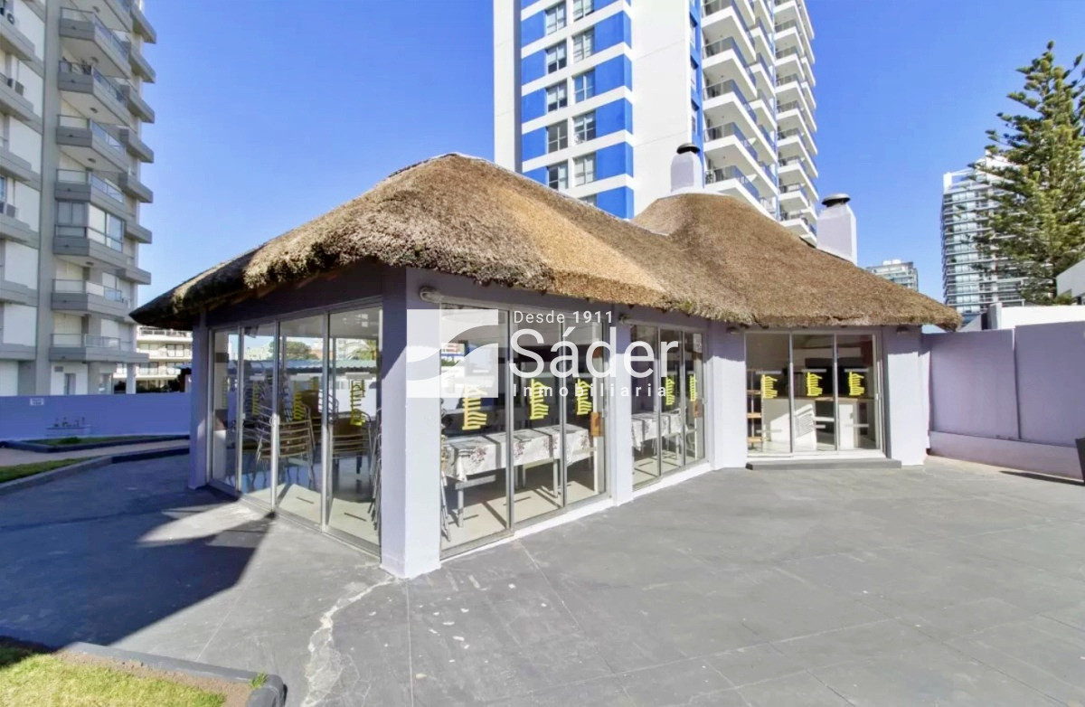 Apartamento ID.4295 - Apto. de 2 dormitorios con vista a playa Brava