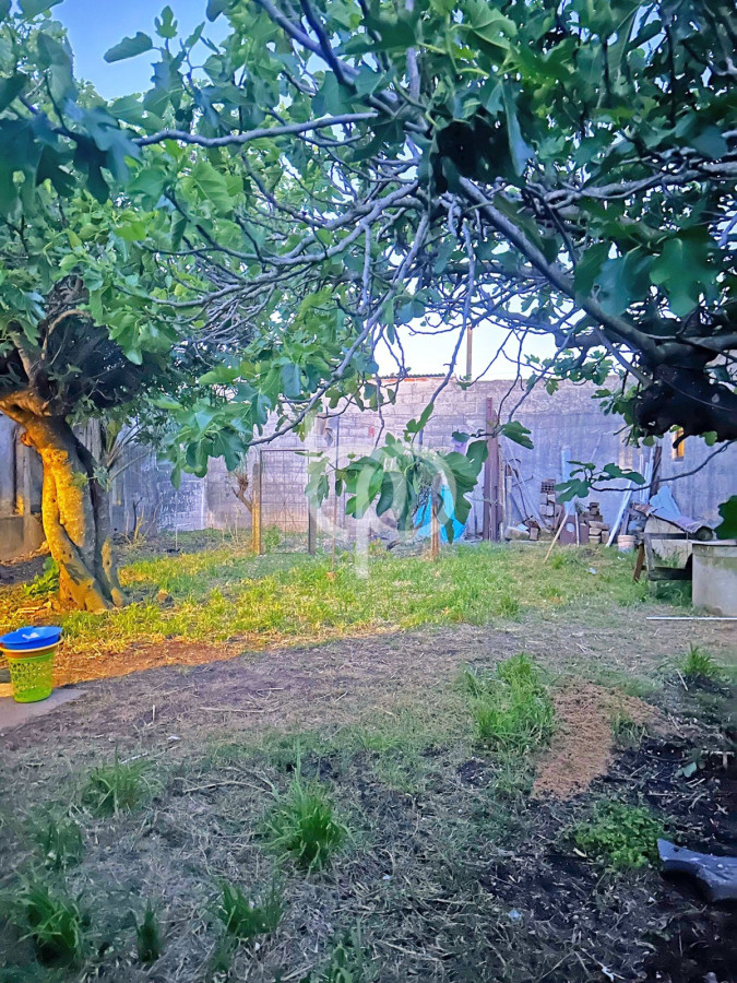 Casa ID.367 - Casa en Venta en Maldonado