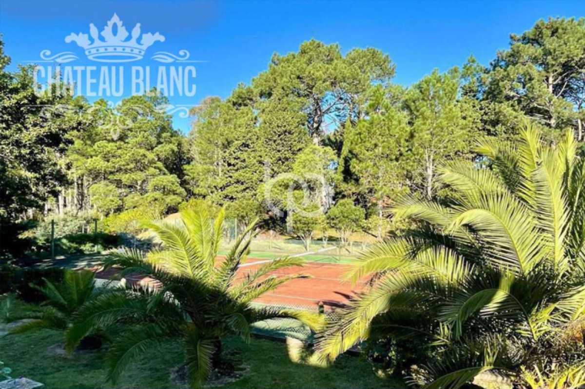 Casa ID.369 - Apartamento en Chateu Blanc