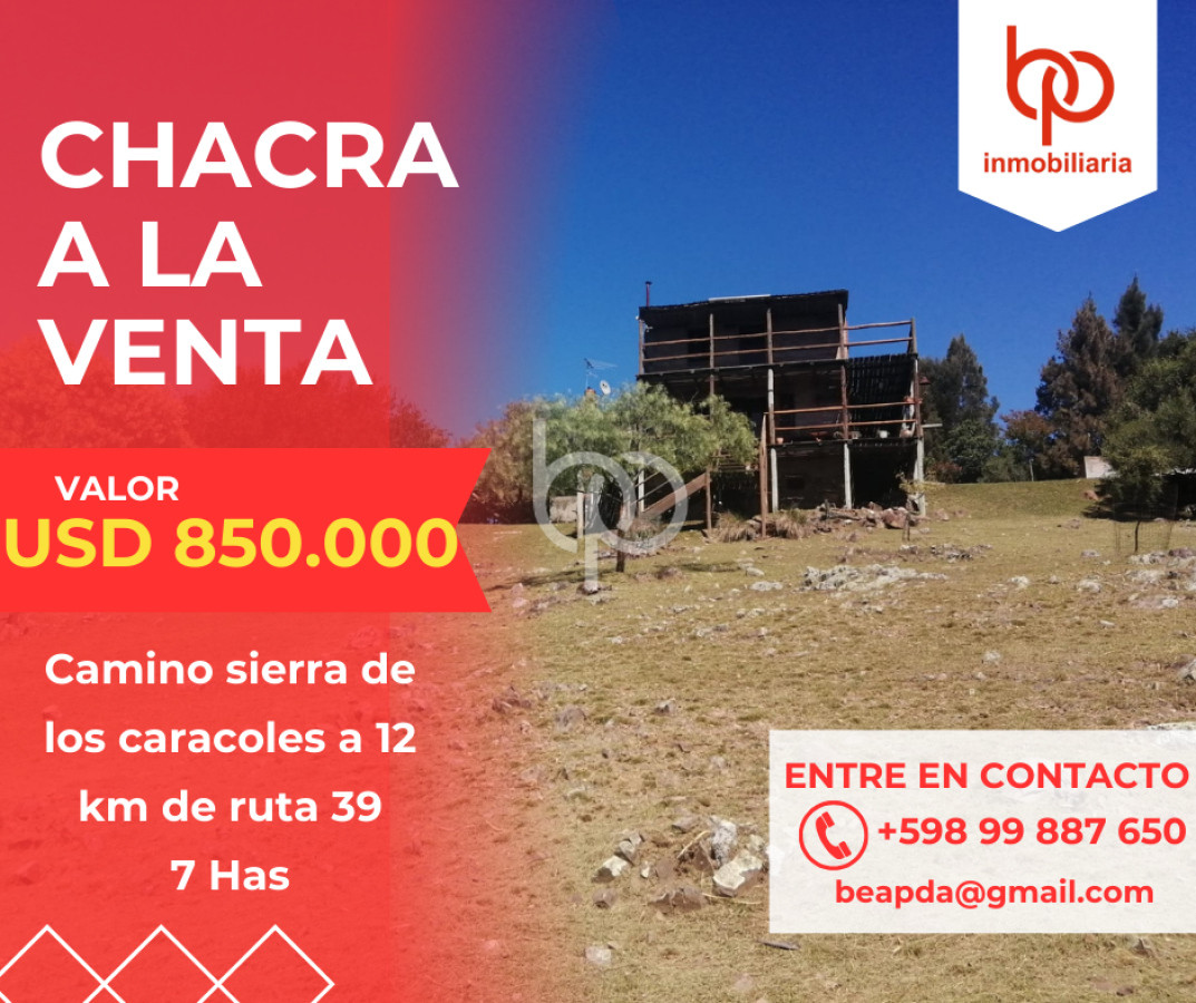 Chacra ID.384 - Hermosa Chacra 