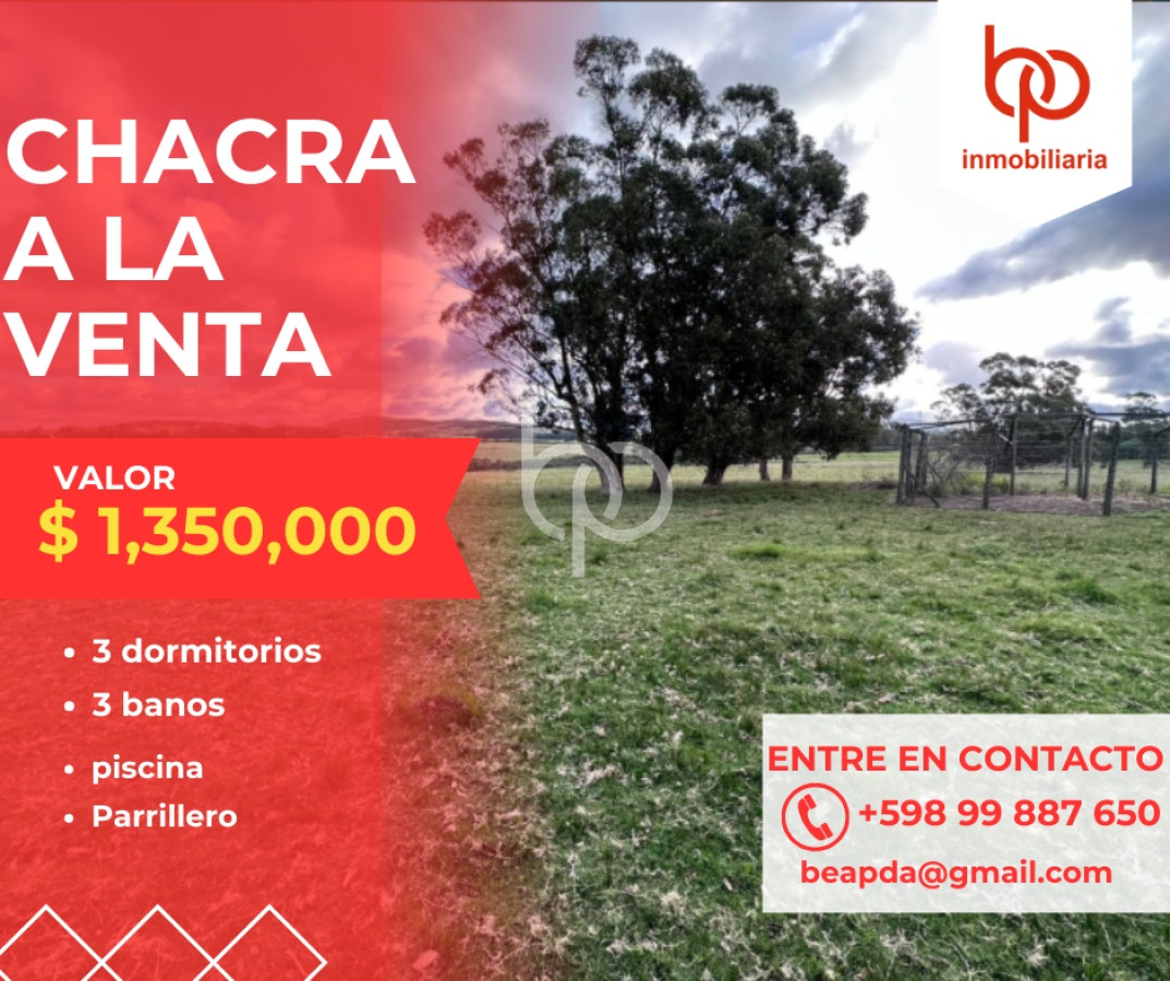 Chacra ID.319 - Chacra de 37 has