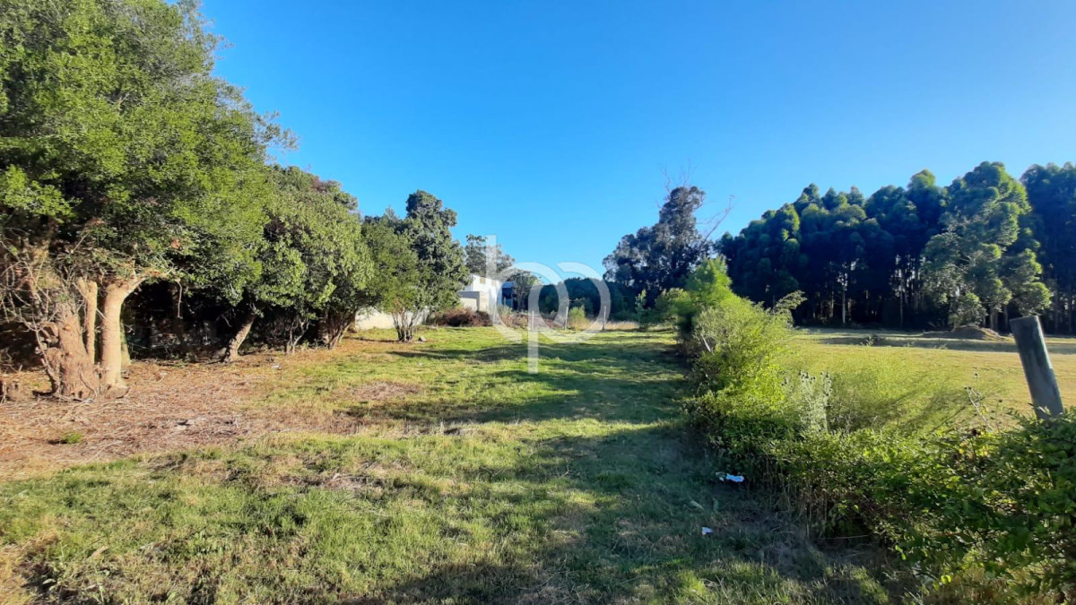 Terreno ID.331 - Terreno en Barra de Portezuelo