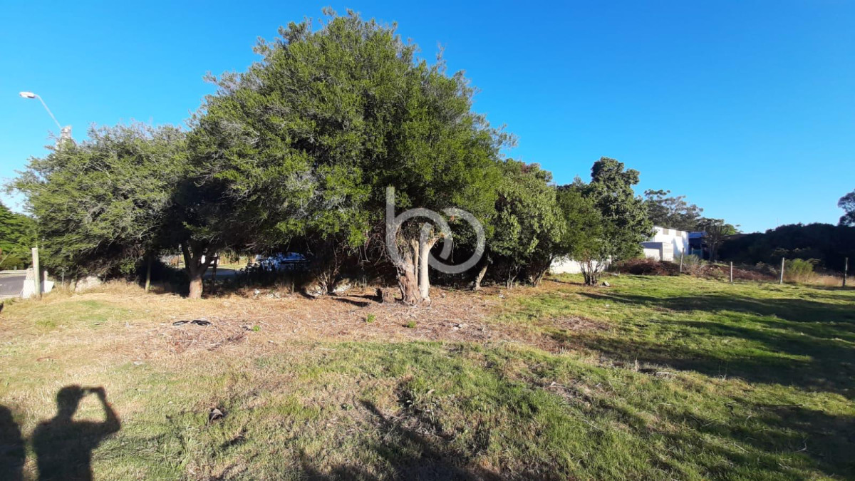Terreno ID.331 - Terreno en Barra de Portezuelo