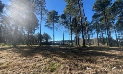 Terreno en  Chacras del Pinar. 2000 m2