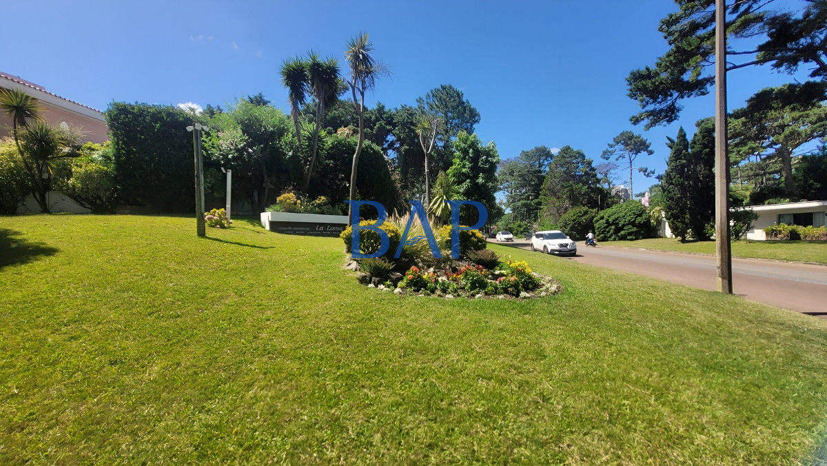 Apartamento ID.64 - Apartamento Playa Mansa -  3 dorm.