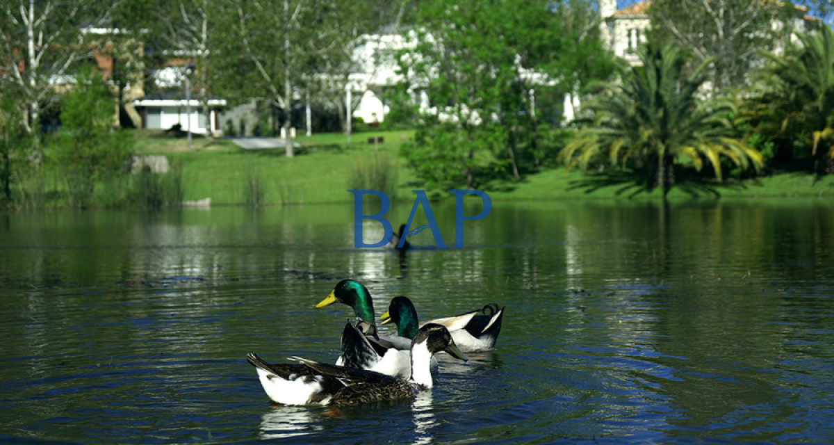 Casa ID.9 - Casa En Barrio San Nicolas