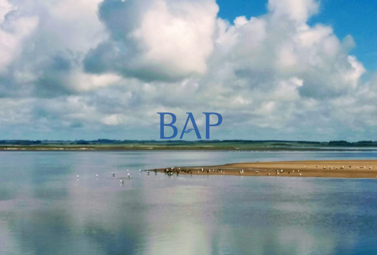 Chacra ID.144 - Chacras - Jose Ignacio 