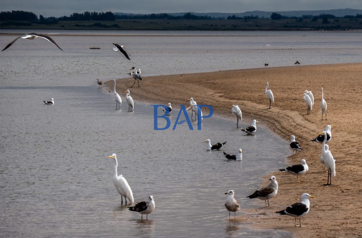 Chacra ID.144 - Chacras - Jose Ignacio 