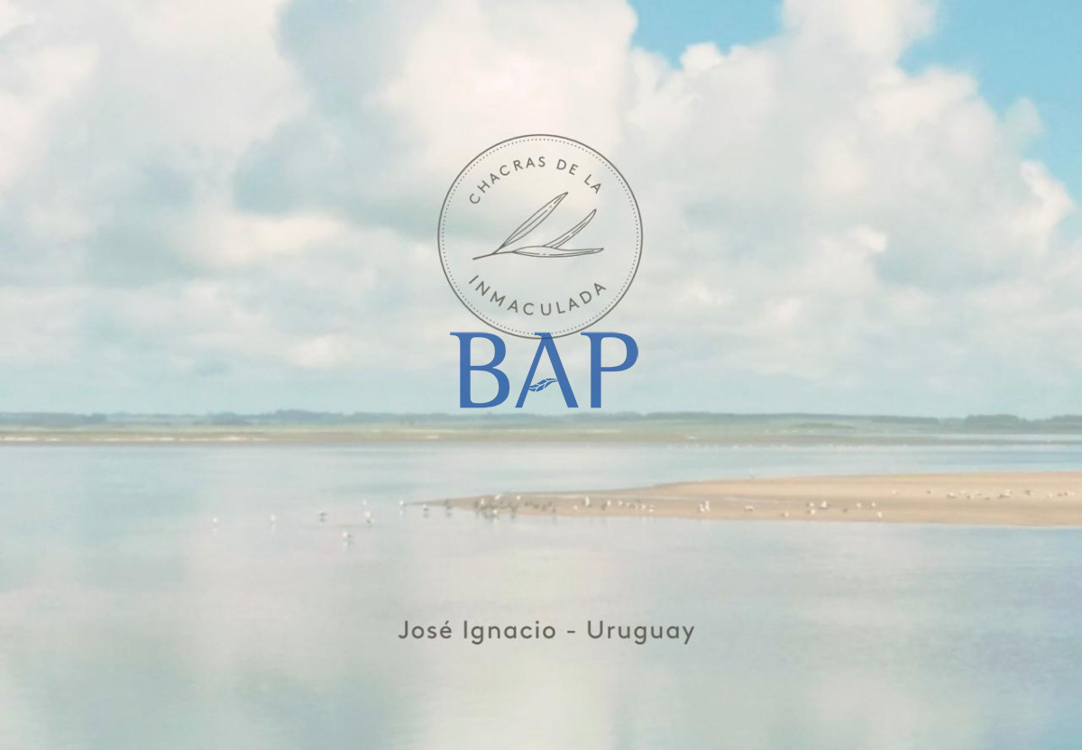 Chacra ID.144 - Chacras - Jose Ignacio 