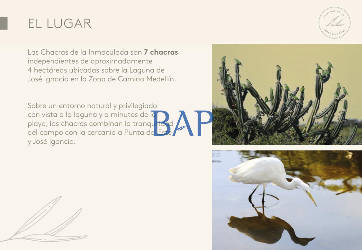 Chacra ID.144 - Chacras - Jose Ignacio 